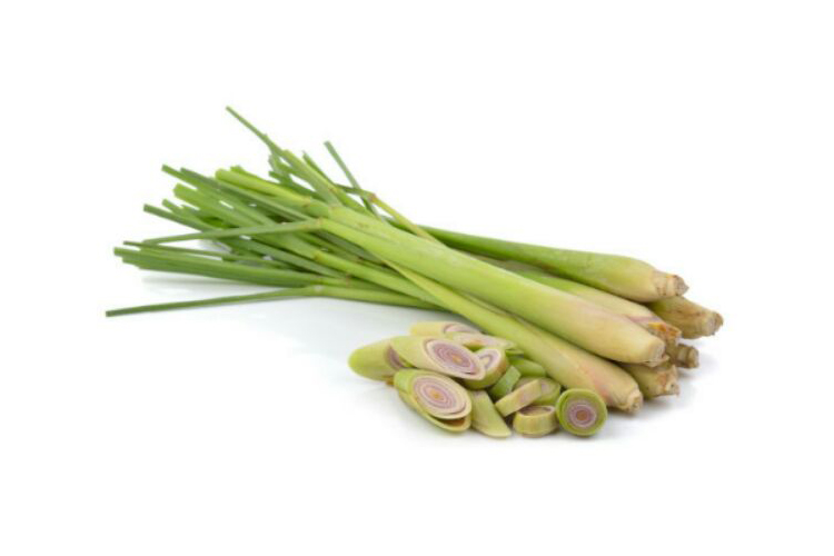 LEMONGRASS 1 SACKET