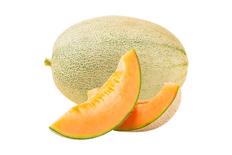 hami-melon-1pcs-jiada