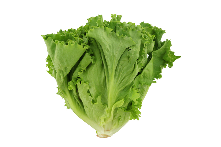 LETTUCE 1PKT